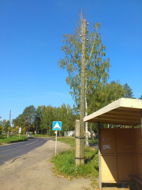 Бесхозные столбы.jpg